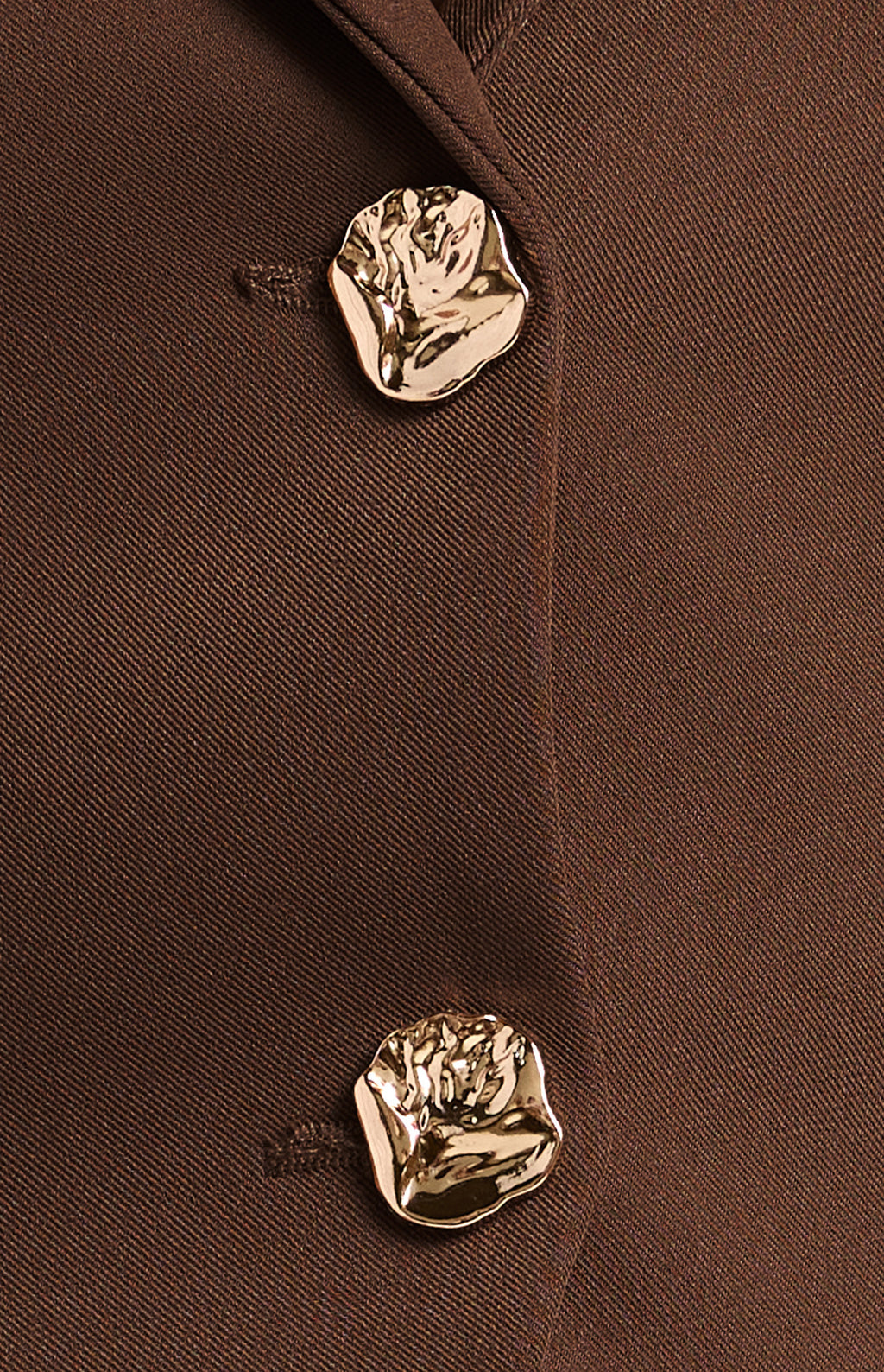 ZALI Pleated Cinch Waist Set With Gold Button Top And Pants
