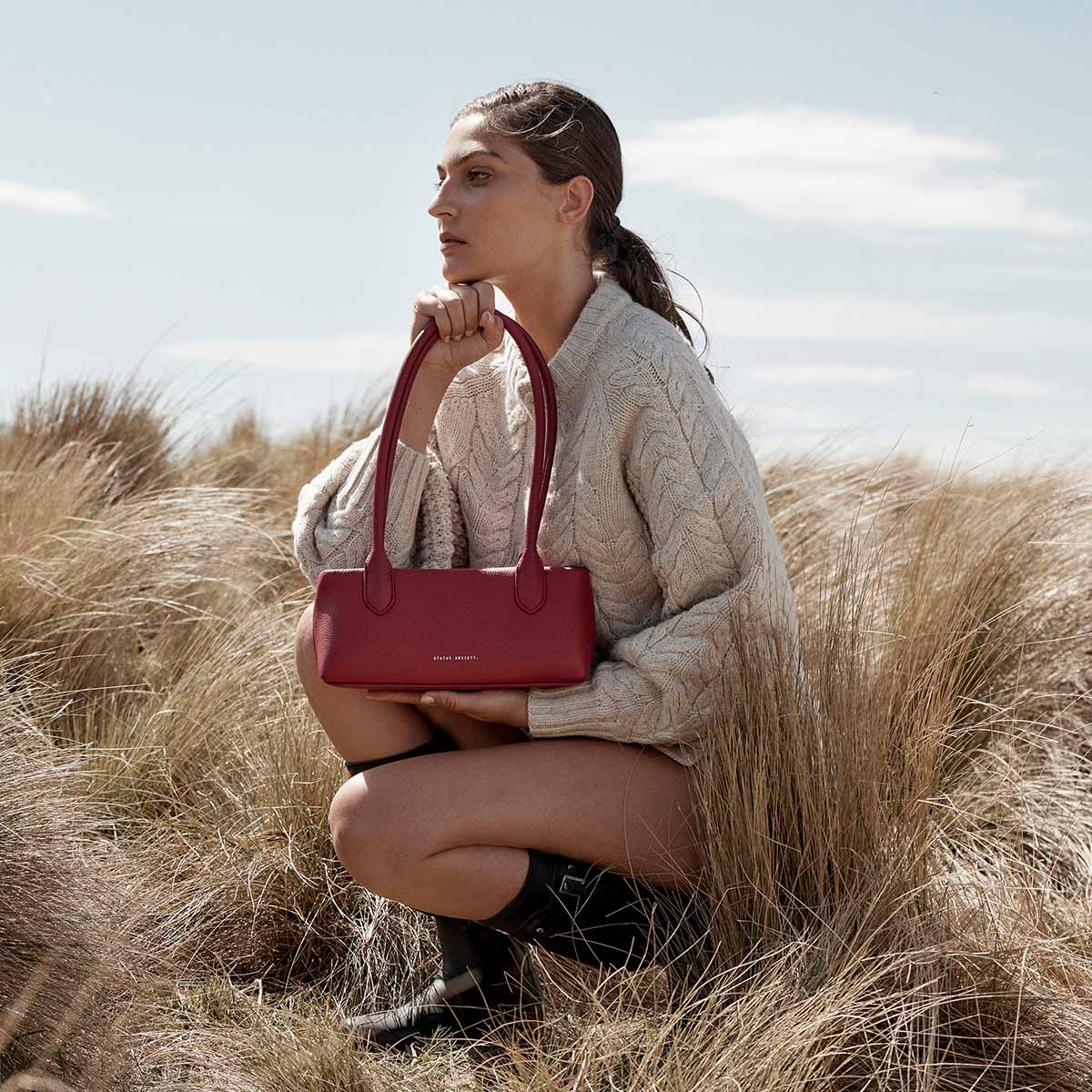 STATUS ANXIETY The Lost Bag