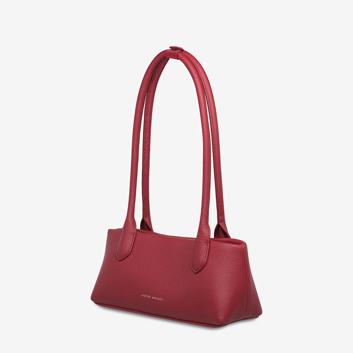 STATUS ANXIETY The Lost Bag